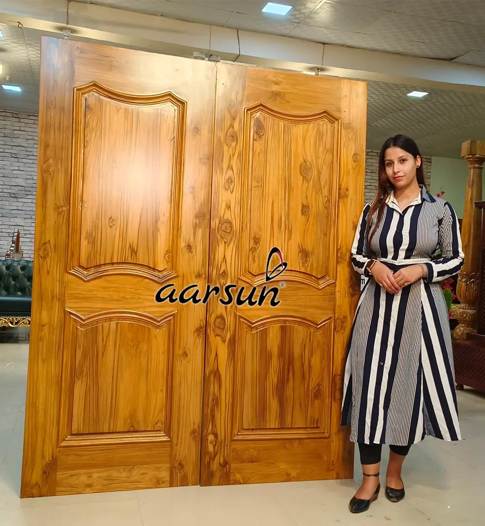 प्रवेश दोहरा डोर डिज़ाइन