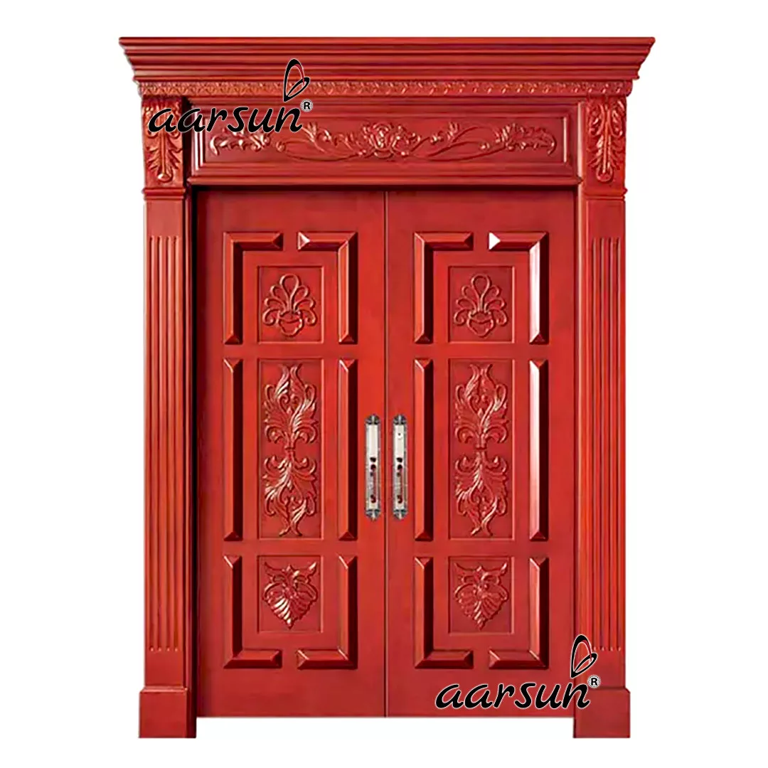 Modern Double Front Door